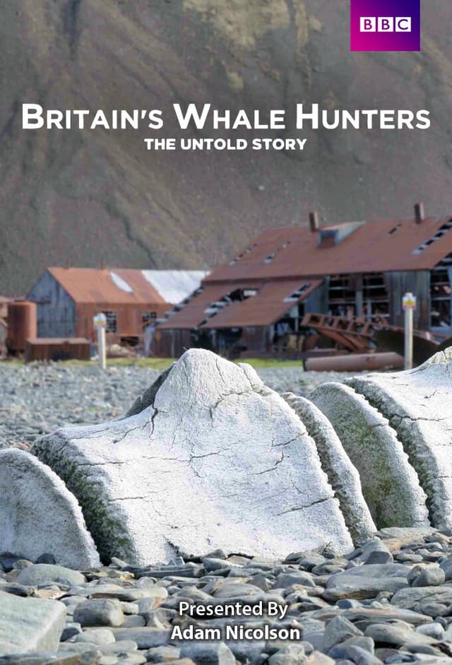 Britain's Whale Hunters: The Untold Story