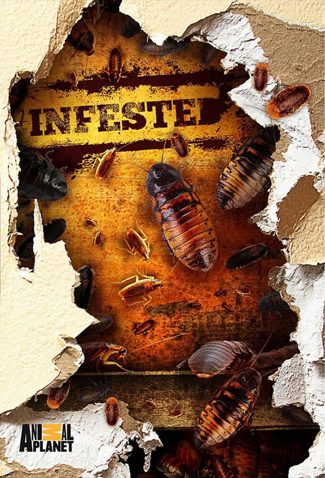 Infested!