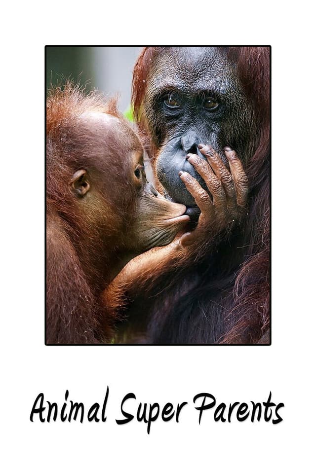 Animal Super Parents