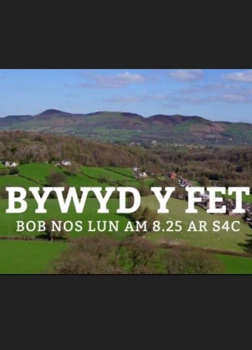 Bywyd y Fet