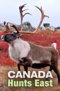 Canada Hunts East