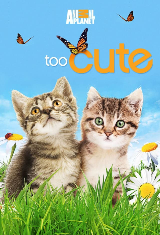 Too Cute!