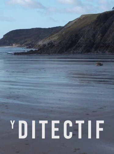 Y Ditectif