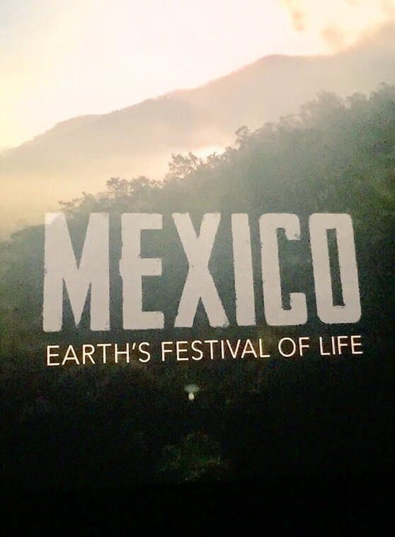Mexico: Earth's Festival of Life