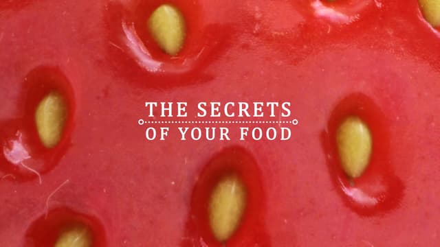 The Secrets of Your Food