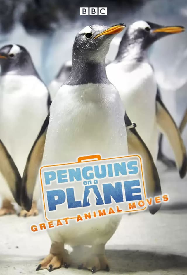 Penguins on a Plane: Great Animal Moves