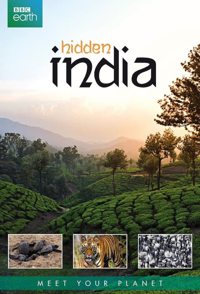Hidden India