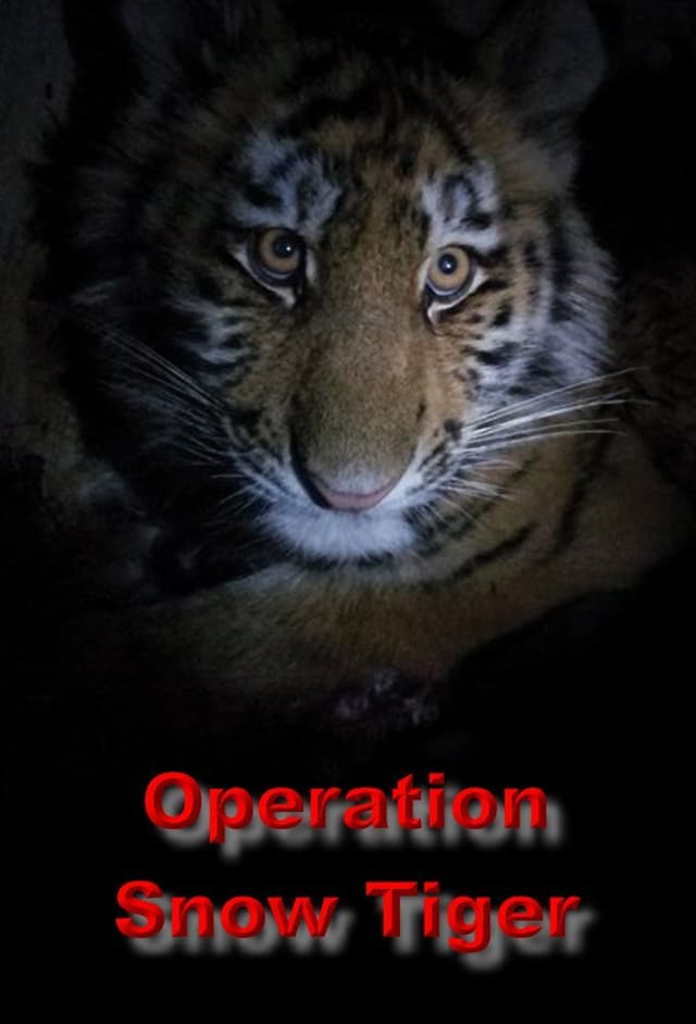 Operation Snow Tiger