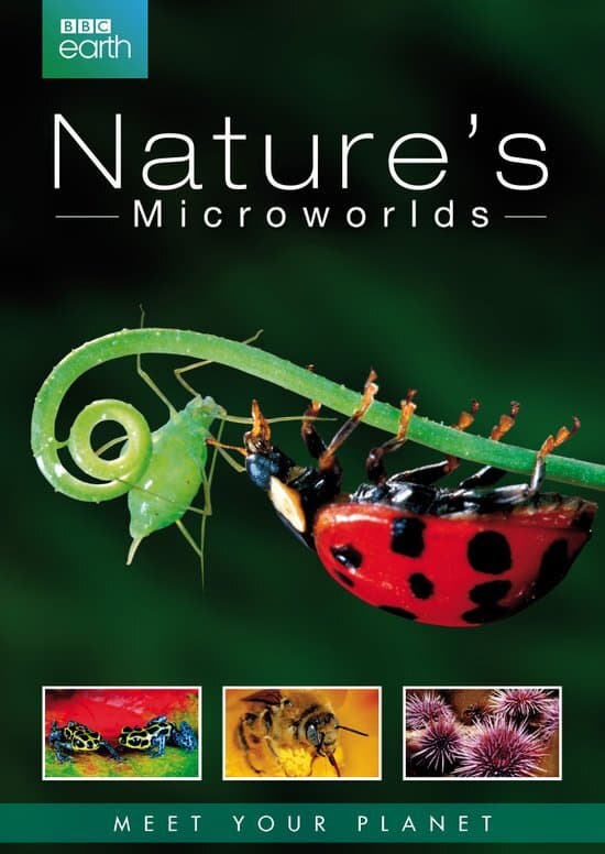 Nature's Microworlds