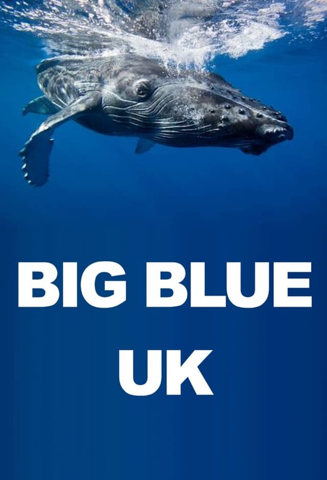 Big Blue UK