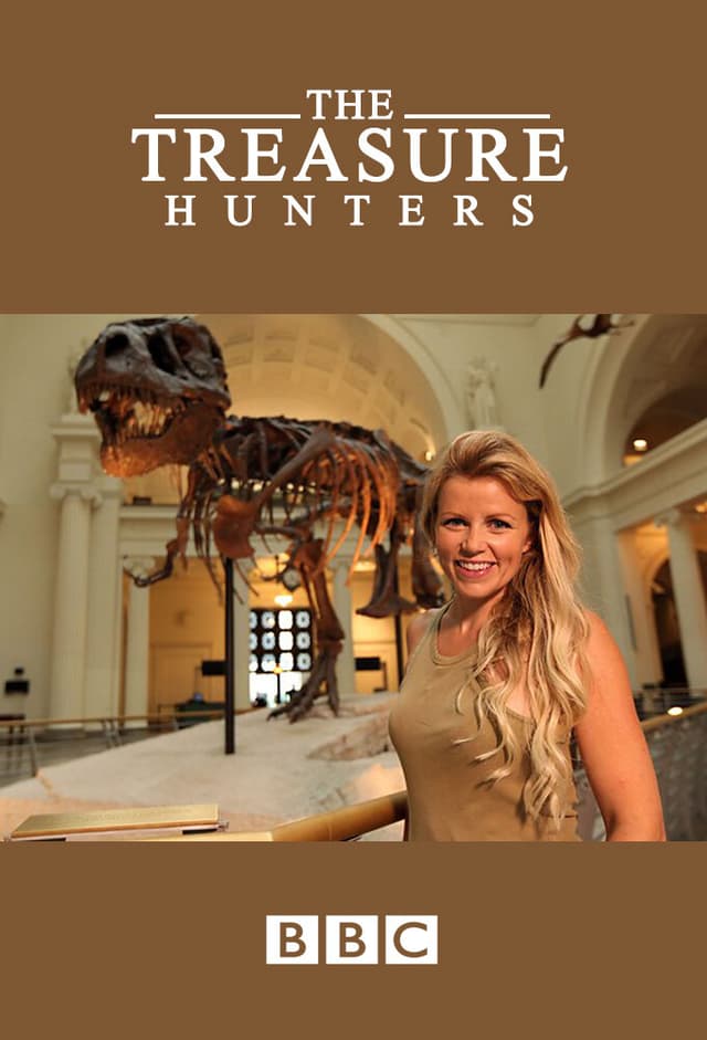 The Treasure Hunters