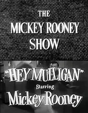 The Mickey Rooney Show