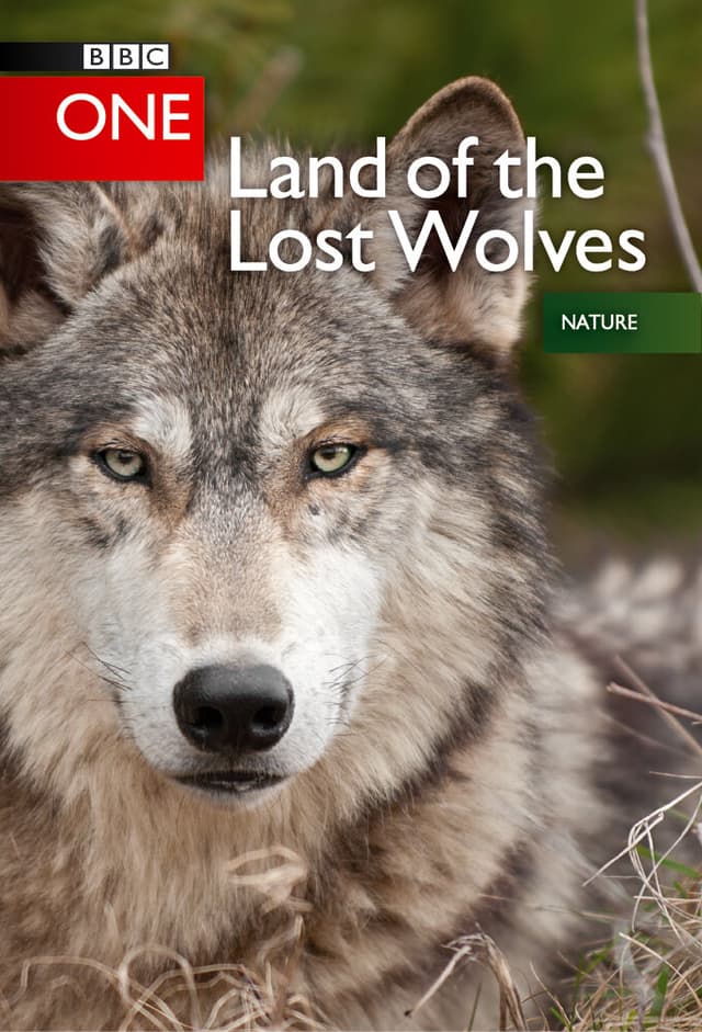 Land of the Lost Wolves
