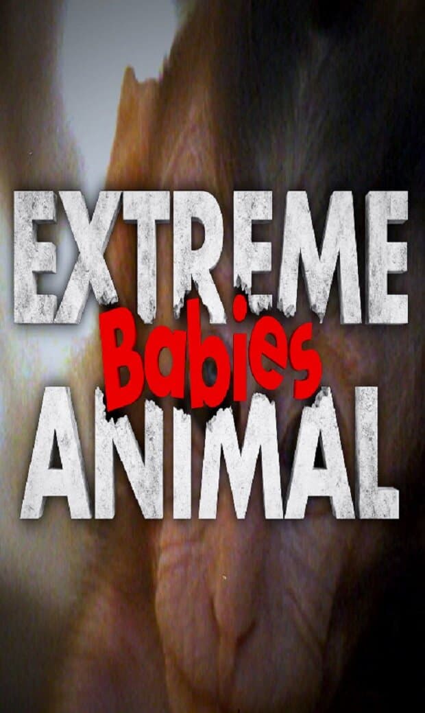 Extreme Animal Babies