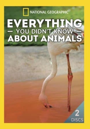 Everything You Didn't Know About Animals