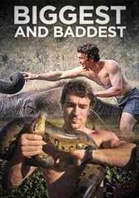 Biggest and Baddest