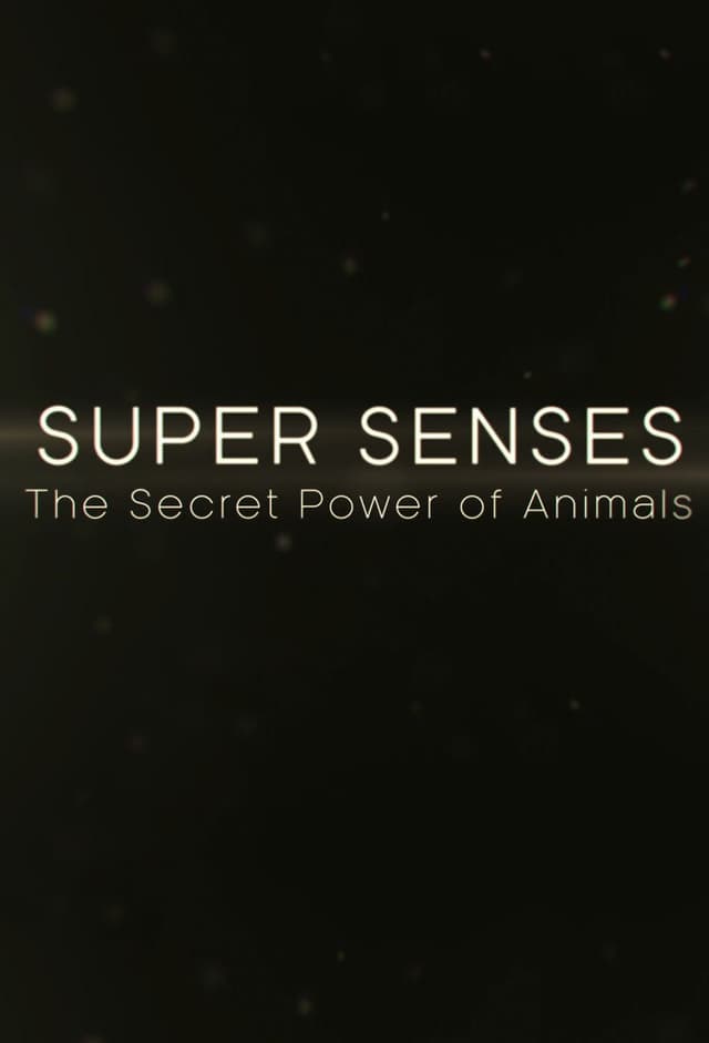 Super Senses: The Secret Power of Animals