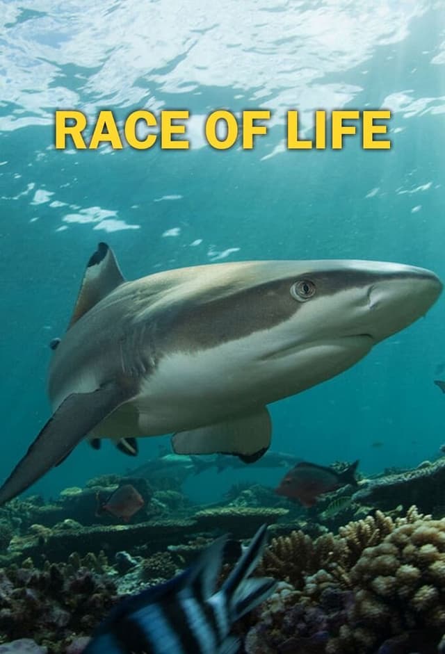 Race of Life
