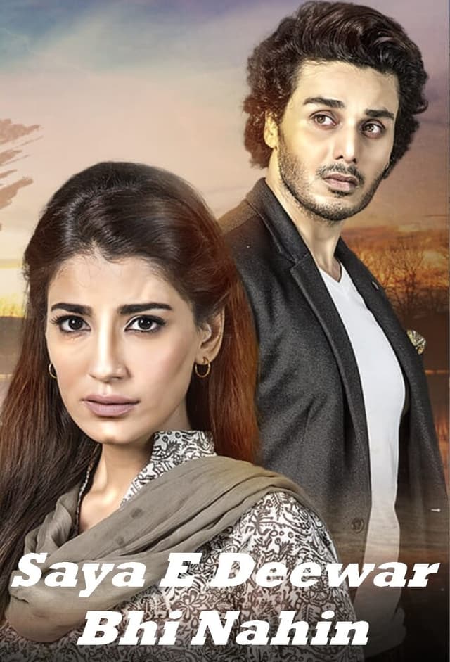 Saya-E-Deewaar Bhi Nahin