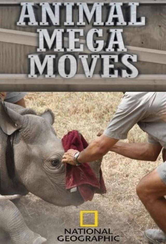Animal Mega Moves
