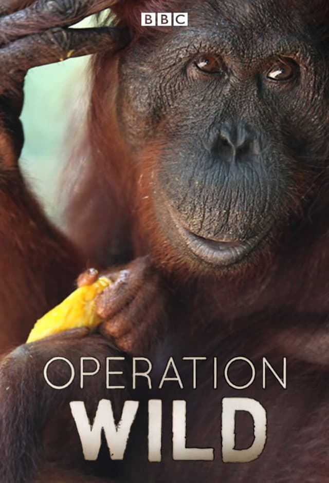 Operation Wild
