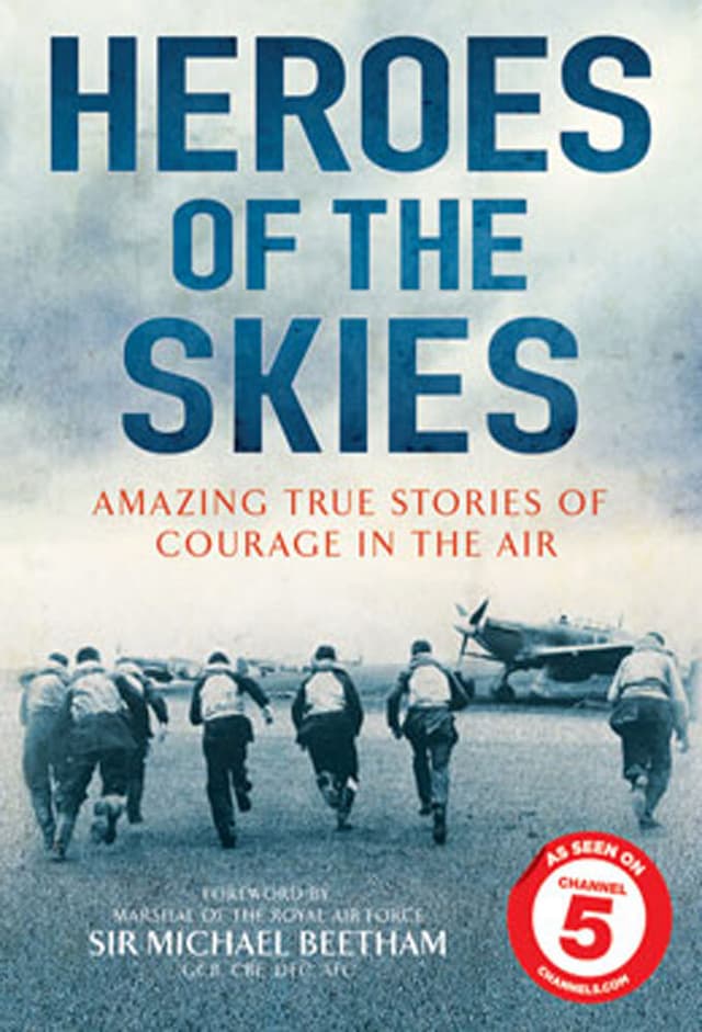 Heroes of the Skies