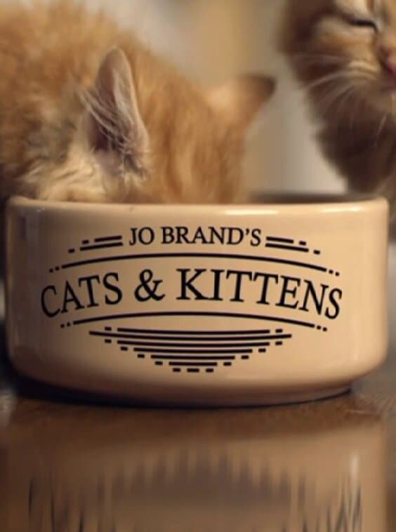 Jo Brand's Cats and Kittens