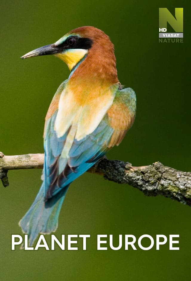 Planet Europe