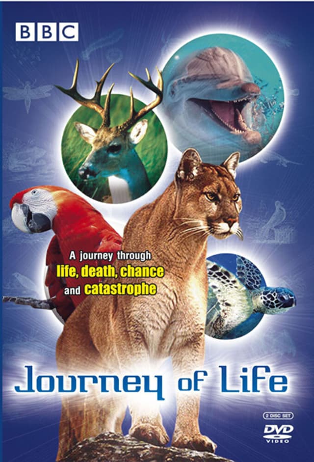 Journey of Life
