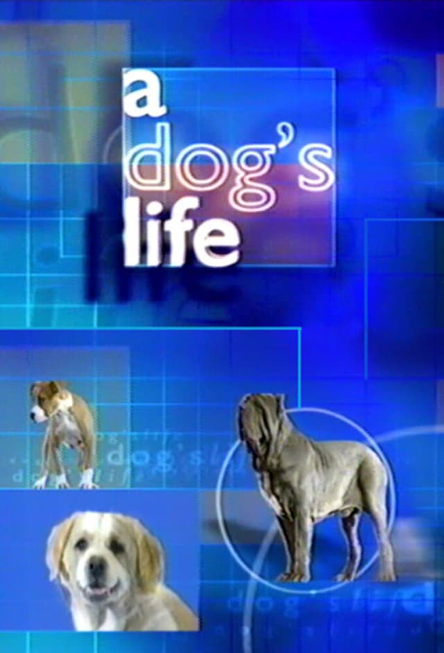 A Dog's Life