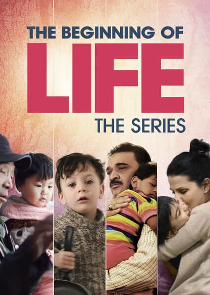 The Beginning of Life: The Series