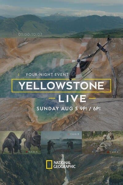 Yellowstone Live