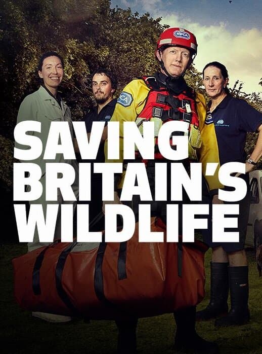 Saving Britain's Wildlife