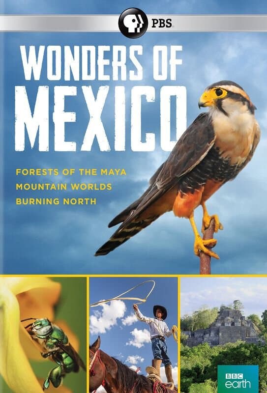 Wonders of Mexico