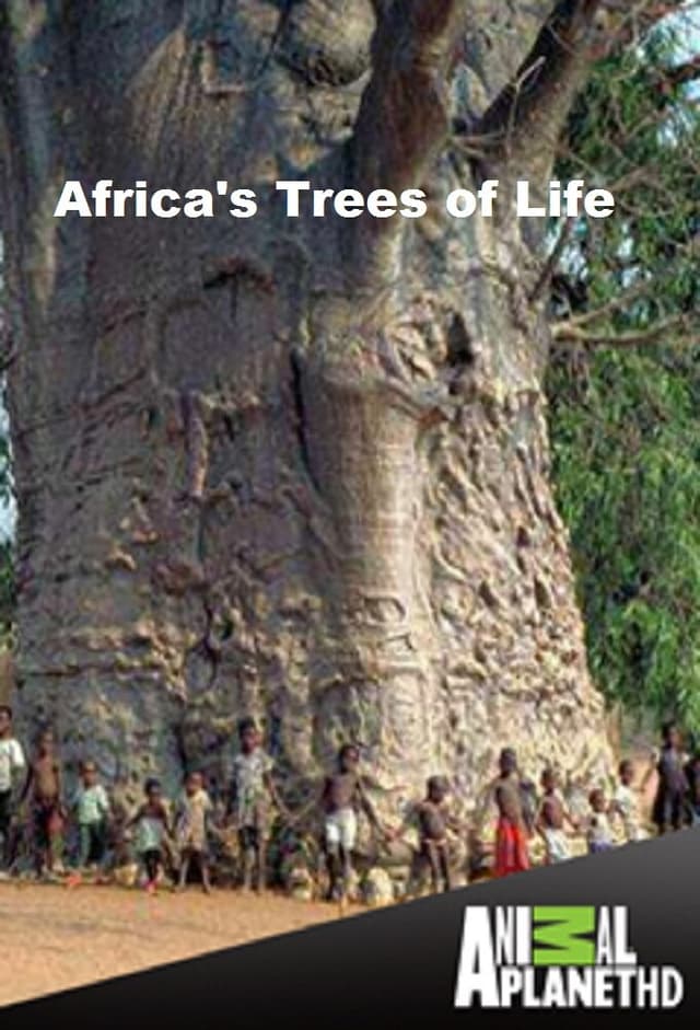 Africa's Trees of Life
