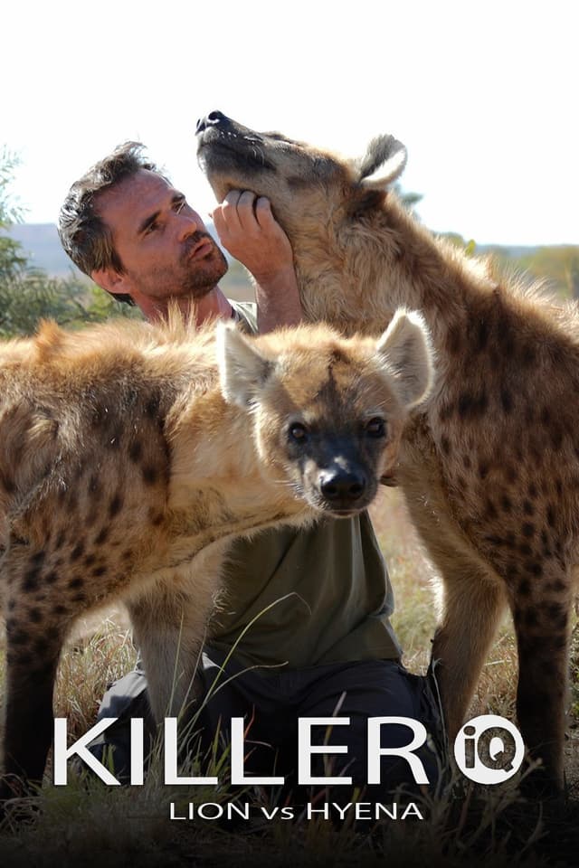 Killer IQ: Lion vs. Hyena