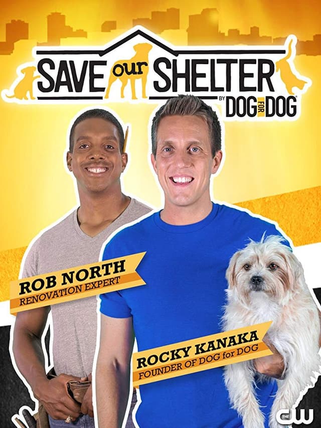Save Our Shelter