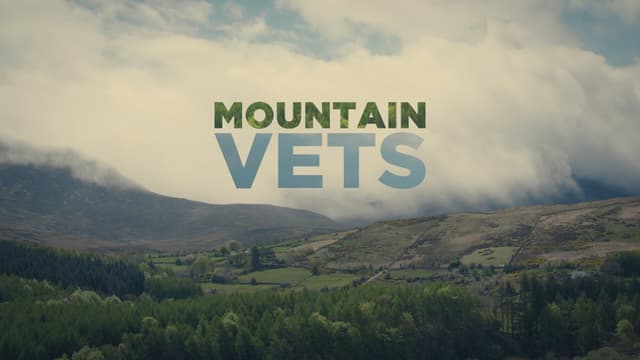 Mountain Vets
