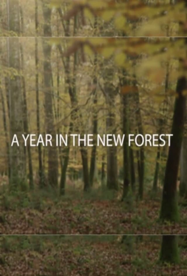 A Year in the New Forest