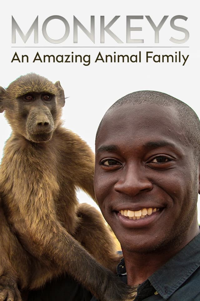 Monkeys: An Amazing Animal Family