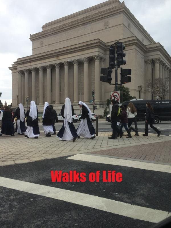 Walks of Life