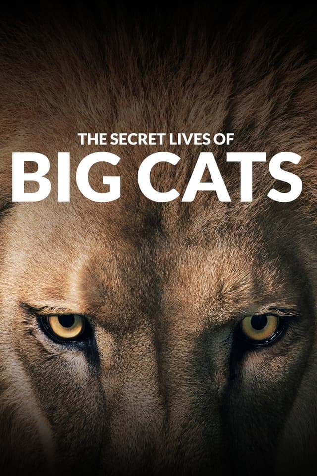 The Secret Lives of Big Cats