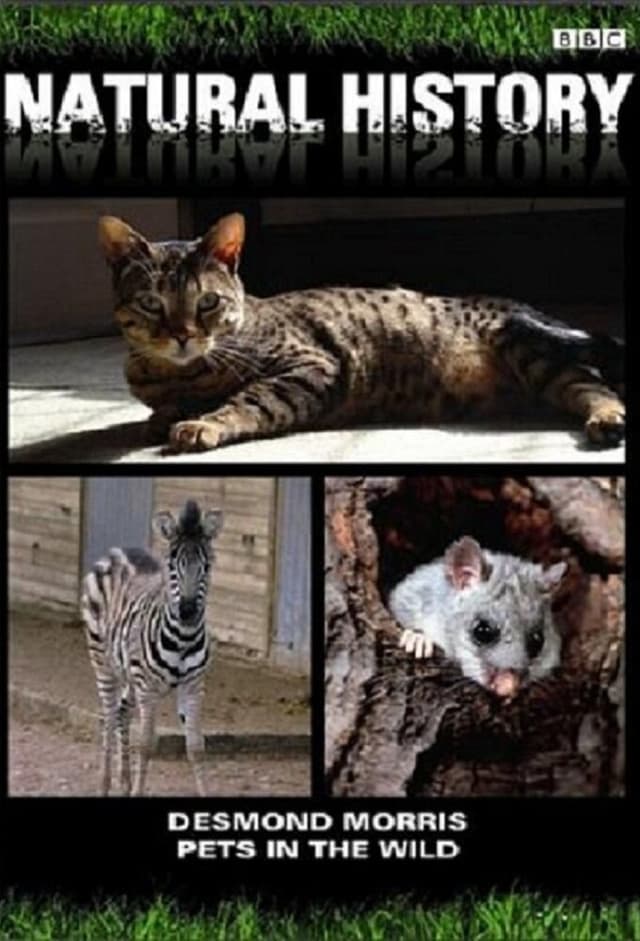 Pets in the Wild