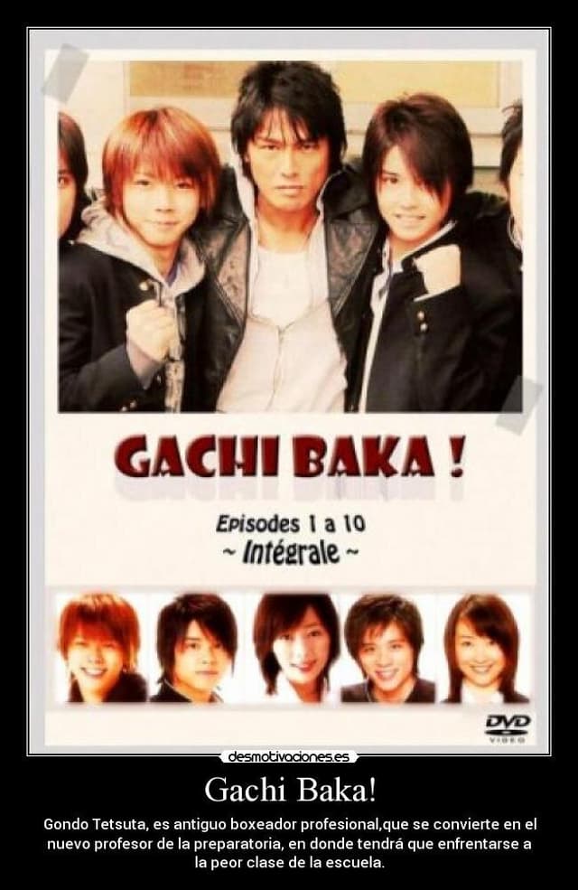Gachi Baka!