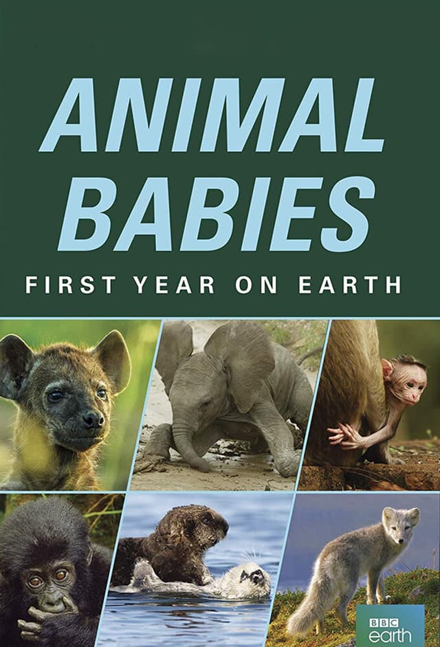 Animal Babies: First Year on Earth