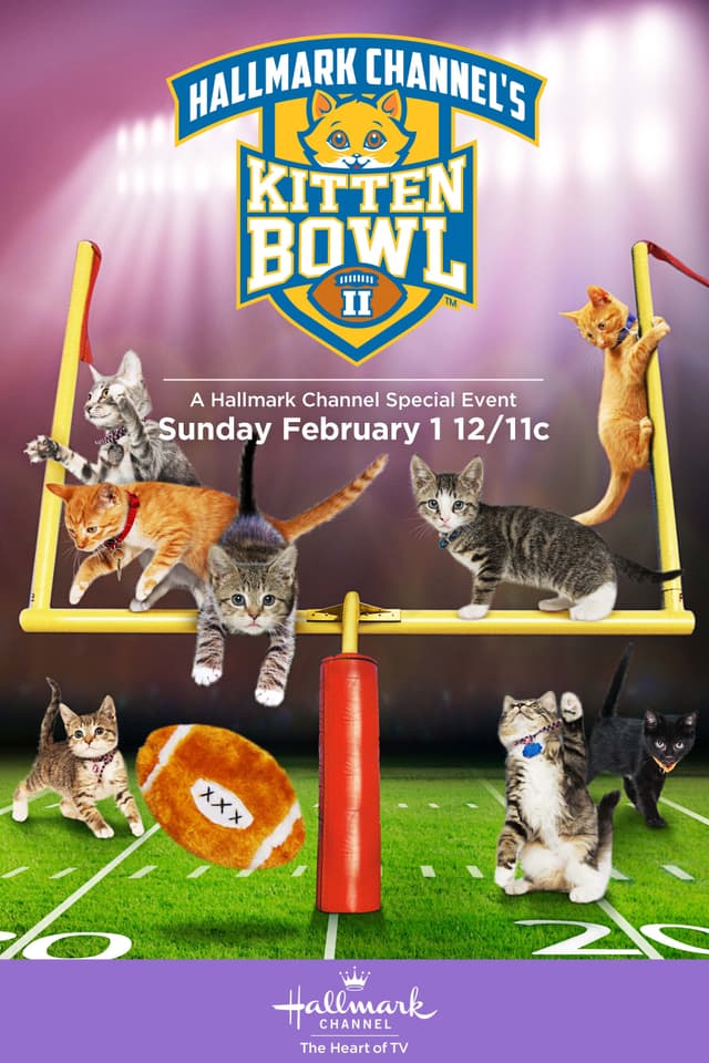 Kitten Bowl