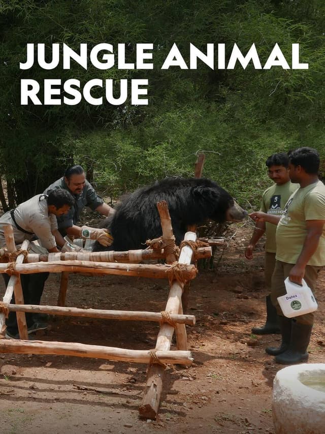 Jungle Animal Rescue