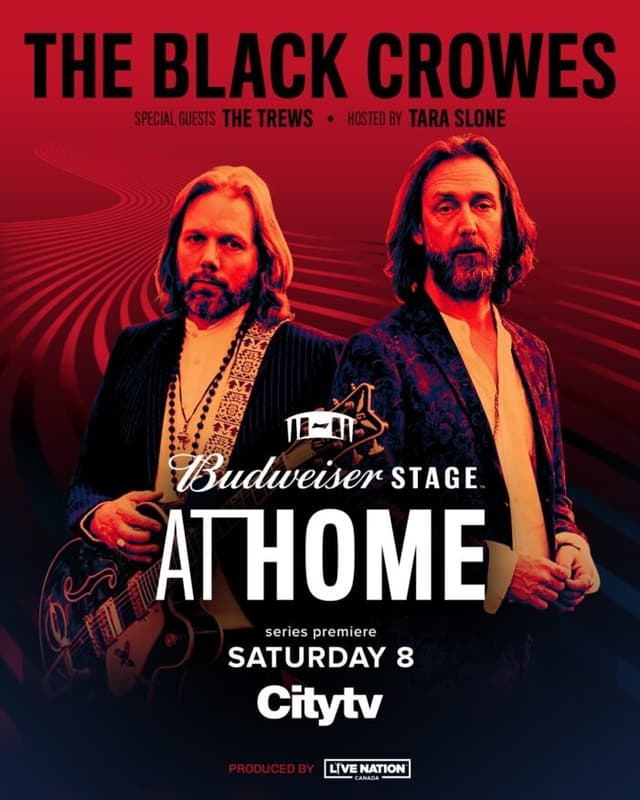 Budweiser Stage at Home