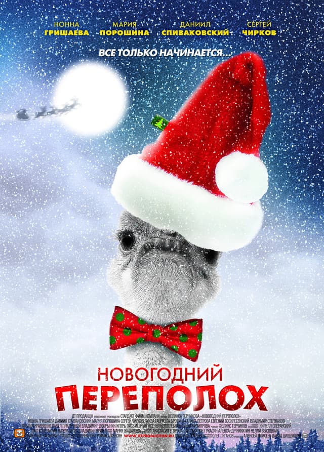 Новогодний переполох