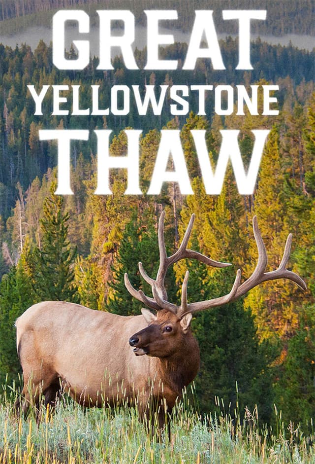 Great Yellowstone Thaw